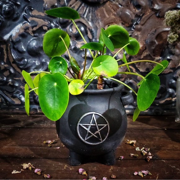 Killstar Other - NEW Cauldron Flower Pot